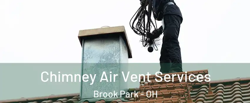  Chimney Air Vent Services Brook Park - OH