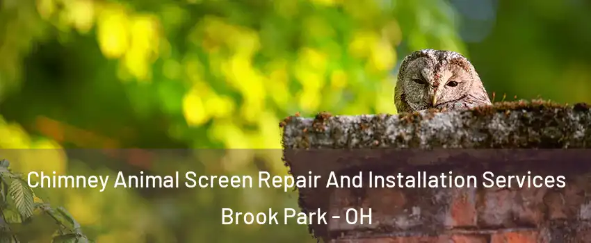  Chimney Animal Screen Repair And Installation Services Brook Park - OH