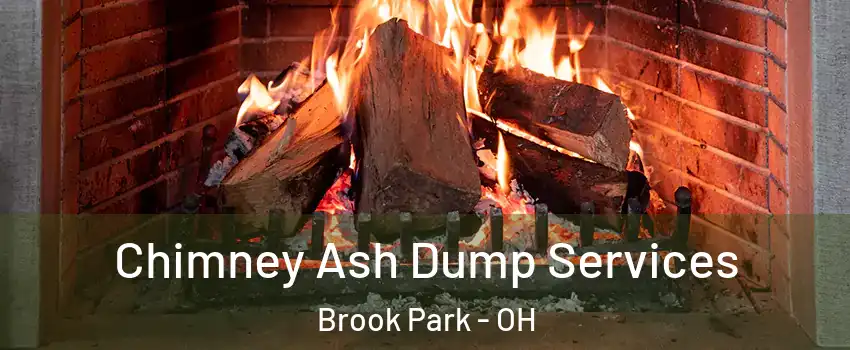  Chimney Ash Dump Services Brook Park - OH
