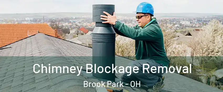  Chimney Blockage Removal Brook Park - OH