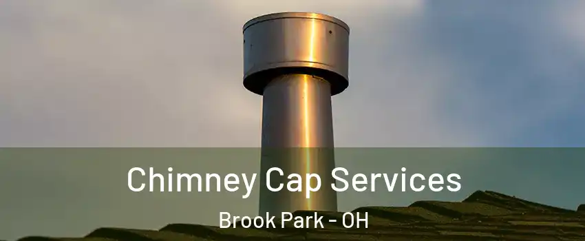  Chimney Cap Services Brook Park - OH