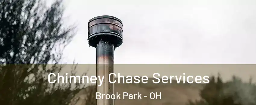  Chimney Chase Services Brook Park - OH