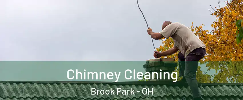  Chimney Cleaning Brook Park - OH