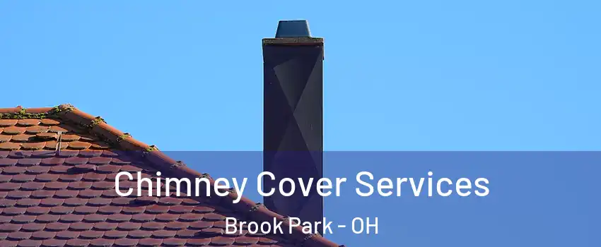  Chimney Cover Services Brook Park - OH