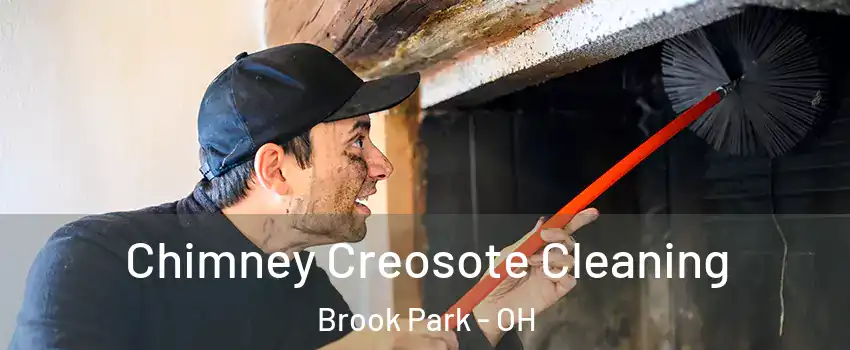 Chimney Creosote Cleaning Brook Park - OH