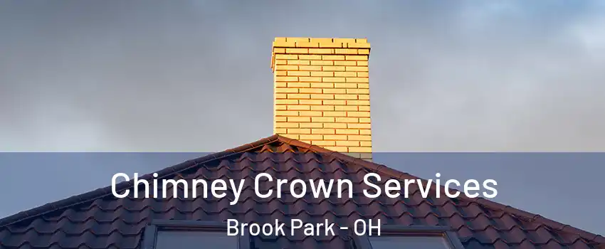  Chimney Crown Services Brook Park - OH