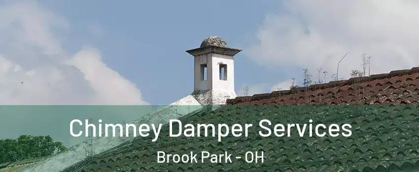  Chimney Damper Services Brook Park - OH