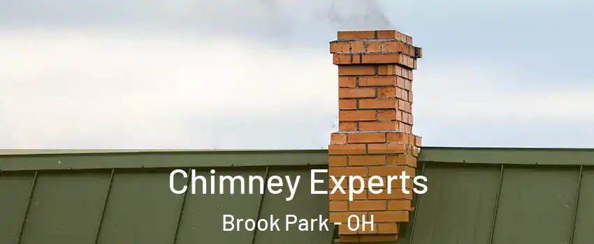  Chimney Experts Brook Park - OH
