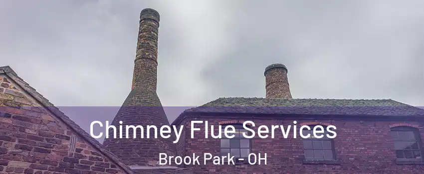 Chimney Flue Services Brook Park - OH