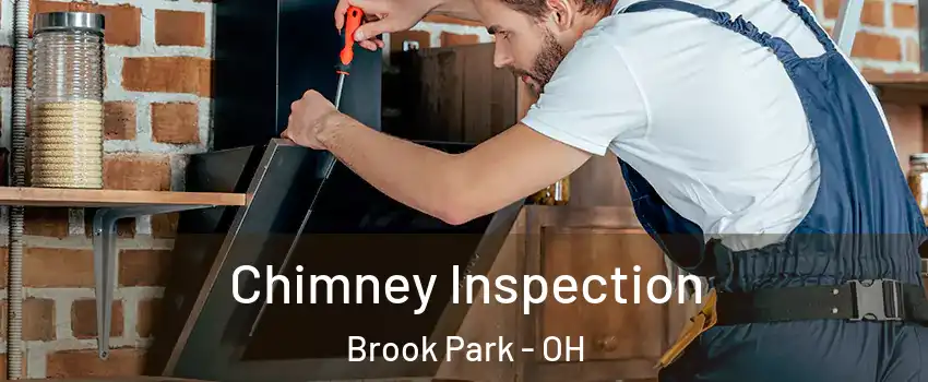  Chimney Inspection Brook Park - OH