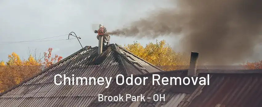  Chimney Odor Removal Brook Park - OH