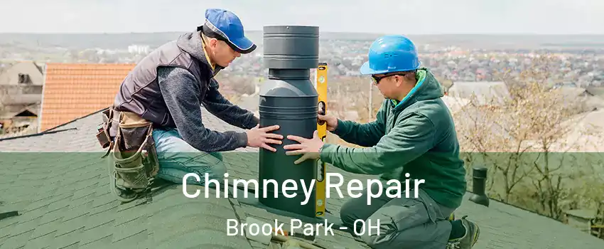  Chimney Repair Brook Park - OH