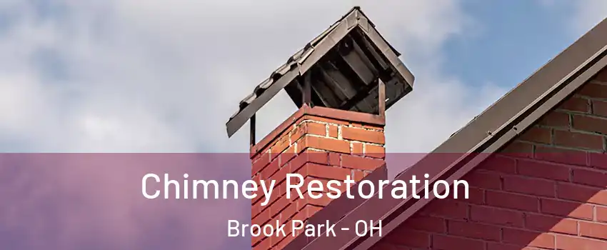  Chimney Restoration Brook Park - OH