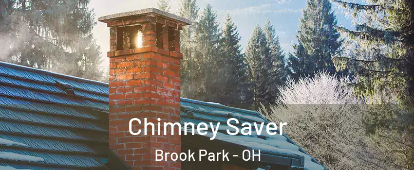  Chimney Saver Brook Park - OH