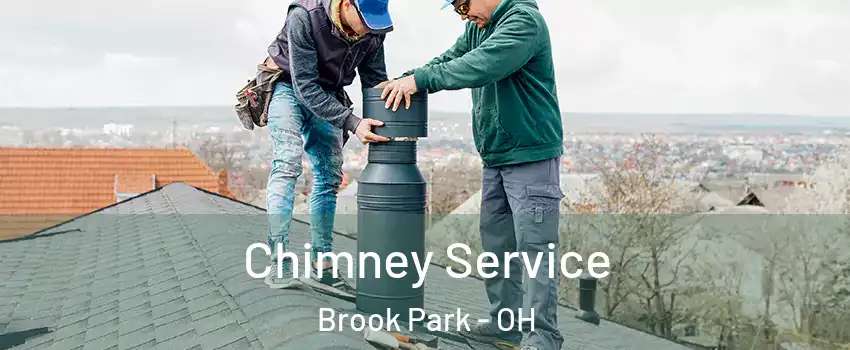  Chimney Service Brook Park - OH