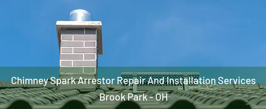  Chimney Spark Arrestor Repair And Installation Services Brook Park - OH