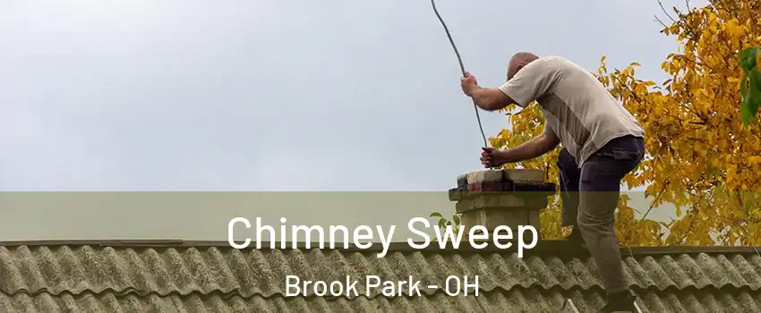  Chimney Sweep Brook Park - OH