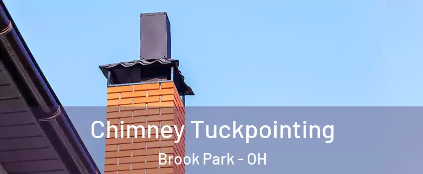  Chimney Tuckpointing Brook Park - OH