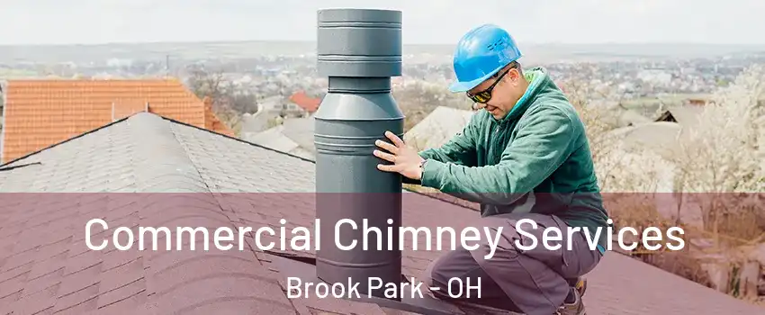  Commercial Chimney Services Brook Park - OH