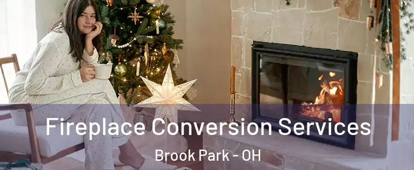  Fireplace Conversion Services Brook Park - OH