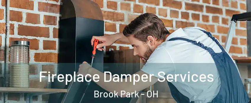  Fireplace Damper Services Brook Park - OH