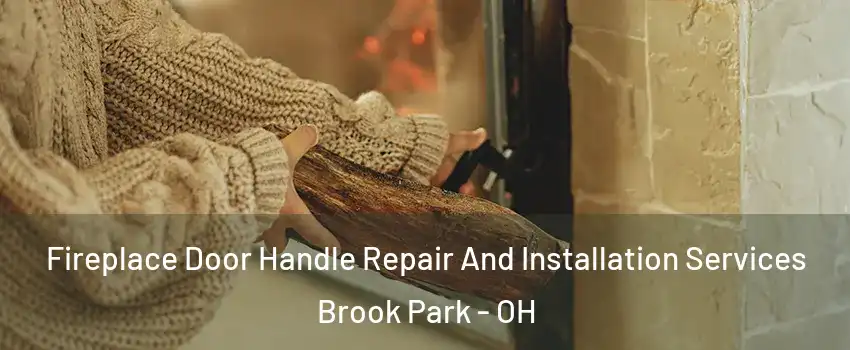  Fireplace Door Handle Repair And Installation Services Brook Park - OH