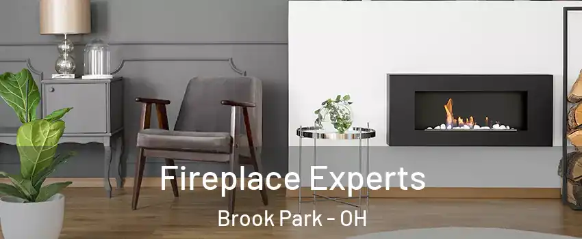  Fireplace Experts Brook Park - OH
