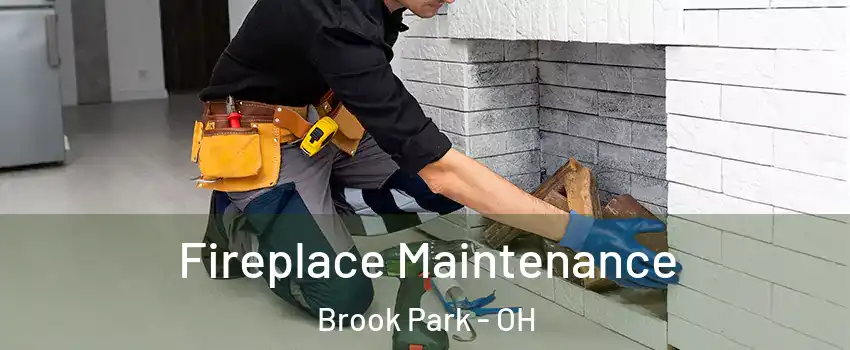  Fireplace Maintenance Brook Park - OH