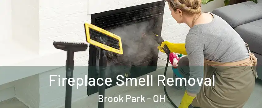 Fireplace Smell Removal Brook Park - OH