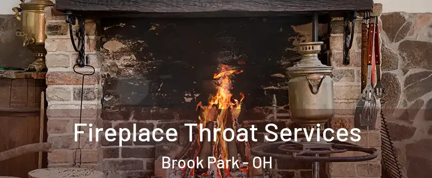  Fireplace Throat Services Brook Park - OH
