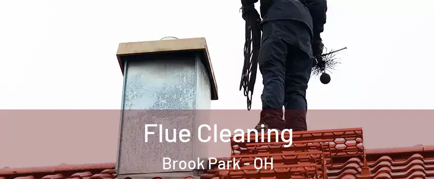 Flue Cleaning Brook Park - OH