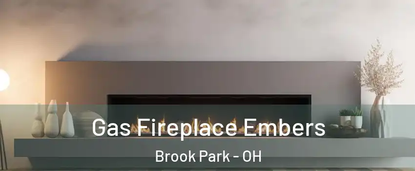  Gas Fireplace Embers Brook Park - OH
