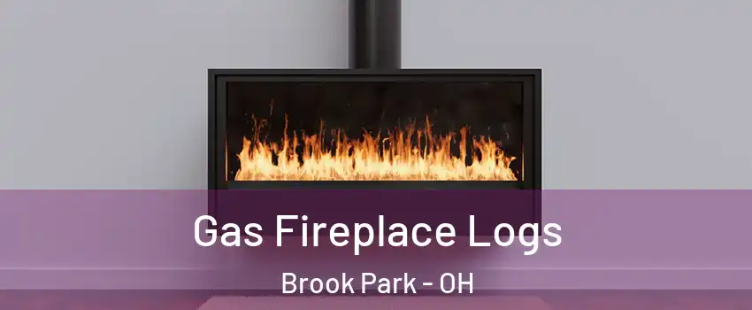  Gas Fireplace Logs Brook Park - OH
