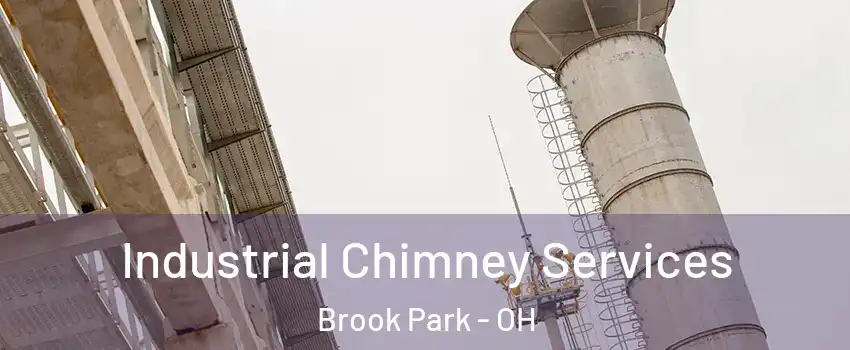  Industrial Chimney Services Brook Park - OH