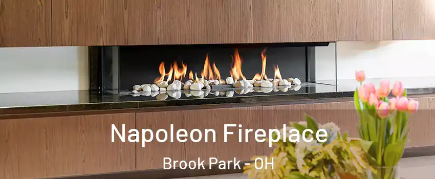  Napoleon Fireplace Brook Park - OH