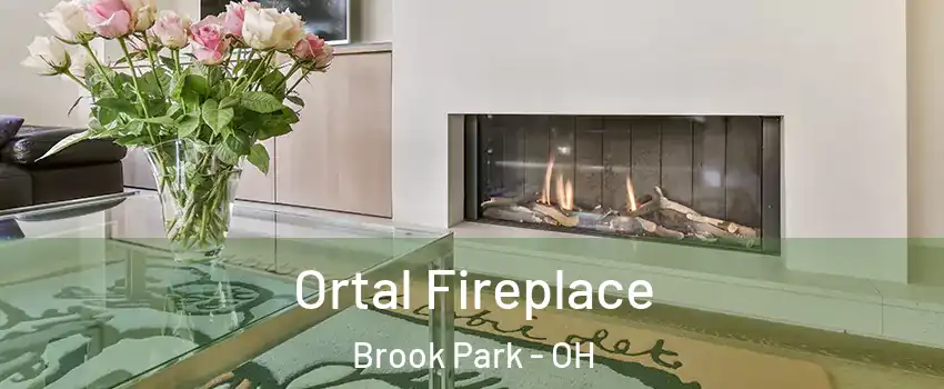  Ortal Fireplace Brook Park - OH