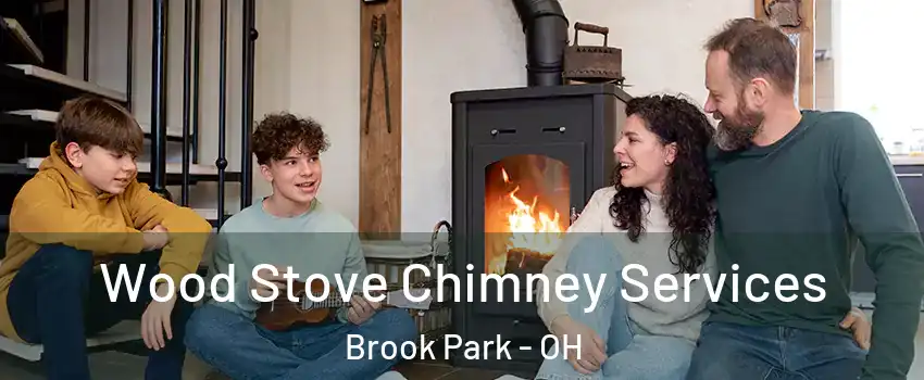 Wood Stove Chimney Services Brook Park - OH
